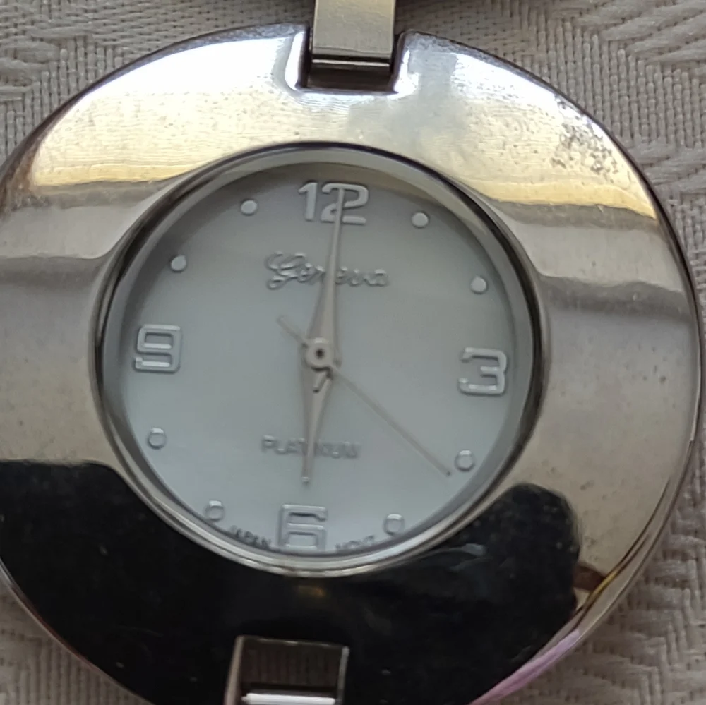 Geneva stainless steel